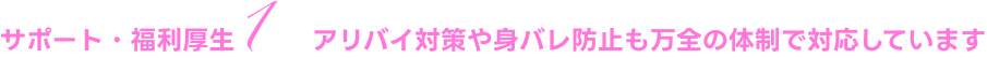 アリバイ対策や身バレ防止も万全の体制で対応しています